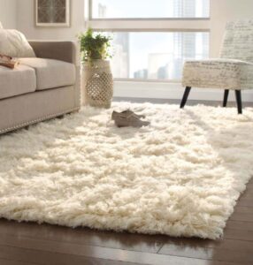 Wool Carpet
