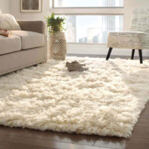 Wool Carpet